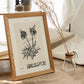 Refined-Artwork-Nacnic-Nacnic Estudio SL