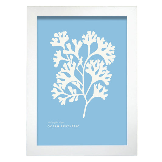 Rhodymenia-Artwork-Nacnic-A4-Marco Blanco-Nacnic Estudio SL