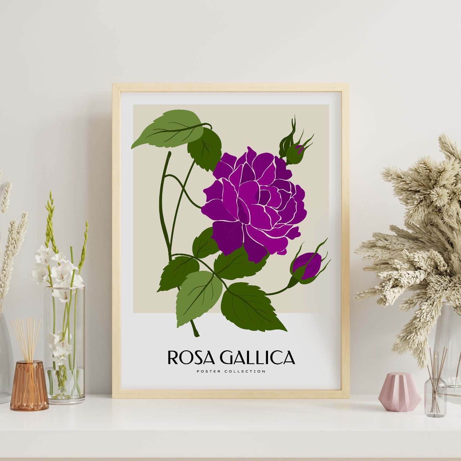 Rosa Gallica-Artwork-Nacnic-Nacnic Estudio SL