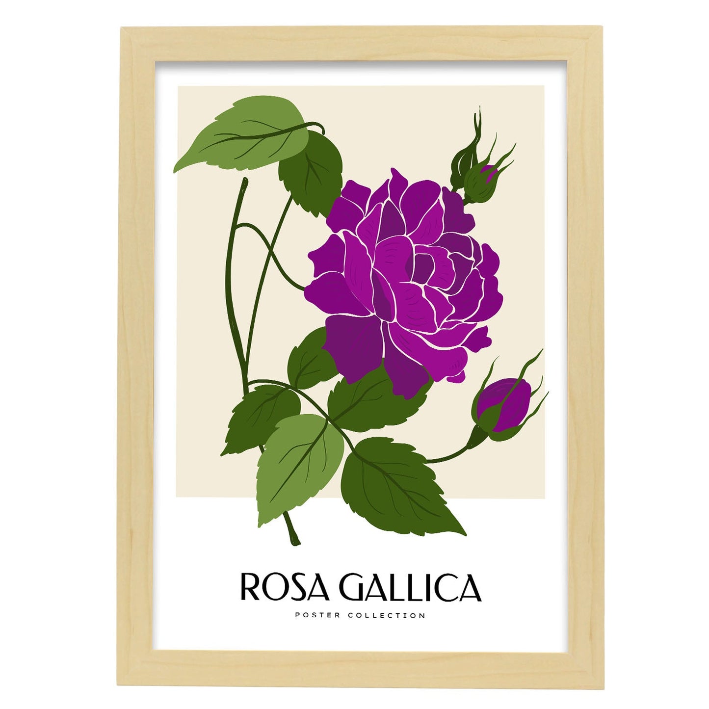Rosa Gallica-Artwork-Nacnic-A3-Marco Madera clara-Nacnic Estudio SL