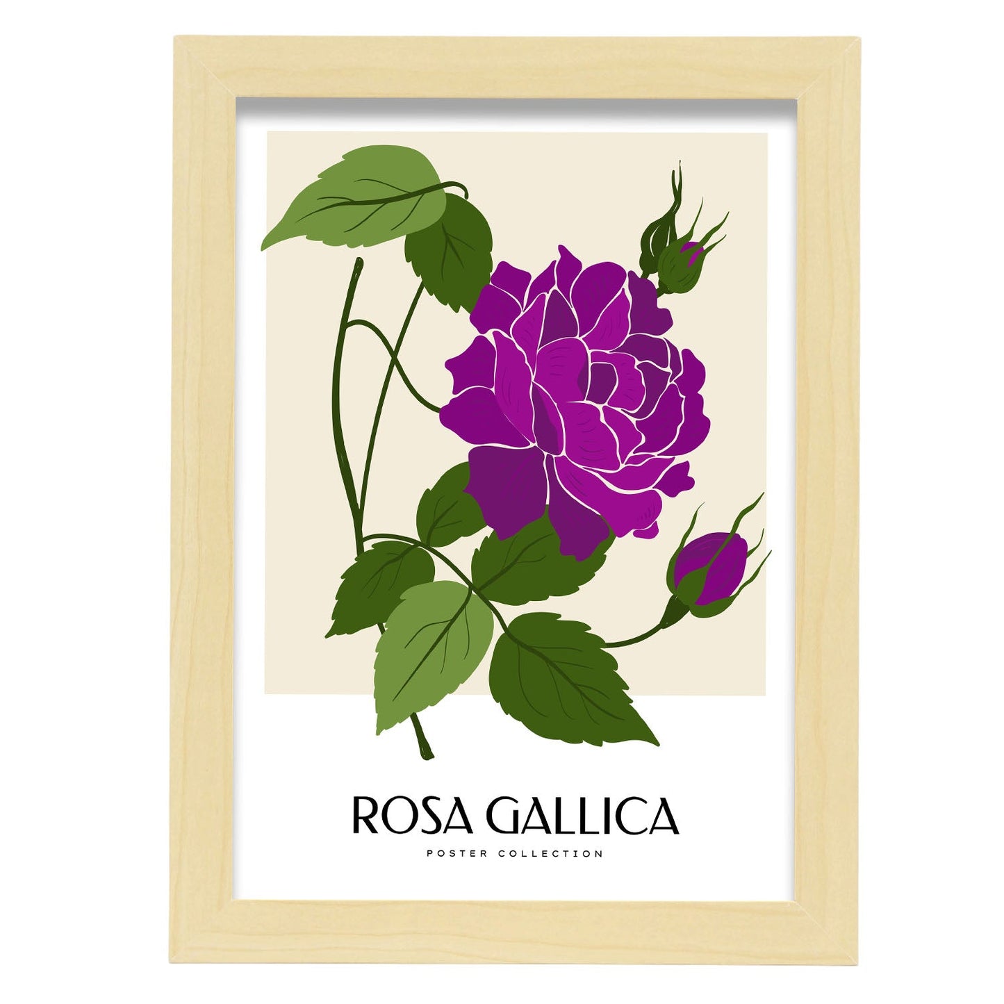 Rosa Gallica-Artwork-Nacnic-A4-Marco Madera clara-Nacnic Estudio SL