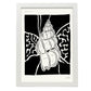 Rosy Woldsnail-Artwork-Nacnic-A3-Marco Blanco-Nacnic Estudio SL