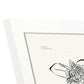 Royal Orchid-Artwork-Nacnic-Nacnic Estudio SL