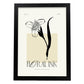 Royal Orchid-Artwork-Nacnic-A3-Sin marco-Nacnic Estudio SL