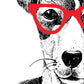 Satz von zwei ILLUSTRATED TIERE. Satz von zwei Poster zum Rahmen mit Illustrationen von Tieren. Geschenk für die Freunde der Tiere. Inneneinrichtung Papier 250 Gramm hohe Qualität. Nacnic-Artwork-Nacnic-Nacnic Estudio SL