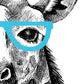 Satz von zwei ILLUSTRATED TIERE. Satz von zwei Poster zum Rahmen mit Illustrationen von Tieren. Geschenk für die Freunde der Tiere. Inneneinrichtung Papier 250 Gramm hohe Qualität. Nacnic-Artwork-Nacnic-Nacnic Estudio SL