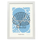 Scallop Shell-Artwork-Nacnic-A3-Marco Blanco-Nacnic Estudio SL