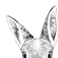 Set 6 posters animales bebes con chicle. Conejo Vaca Zorro Caballo Oso Llama.-Artwork-Nacnic-Nacnic Estudio SL