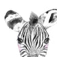Set 6 posters animales bebes con chicle. Zebra Rino Ciervo Vaca Caballo Llama.-Artwork-Nacnic-Nacnic Estudio SL
