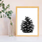Set de 3 láminas de piñas de arbol pino en , en blanco y negro .-Artwork-Nacnic-Nacnic Estudio SL