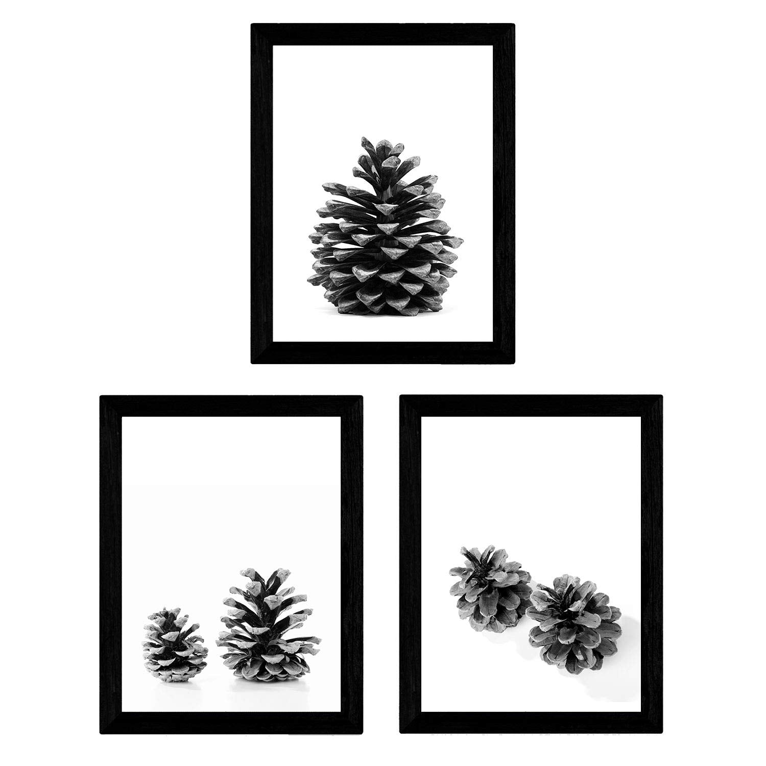 Set de 3 láminas de piñas de arbol pino en , en blanco y negro .-Artwork-Nacnic-Nacnic Estudio SL