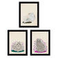Set de 3 láminas gatos grises y blancos en , colorido divertido Poster papel 250 gr alta calidad.-Artwork-Nacnic-Nacnic Estudio SL