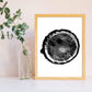 Set de 3 láminas Tocón de Madera. Posters de la naturaleza, Arboles y Hojas en blanco y negro. , .-Artwork-Nacnic-Nacnic Estudio SL