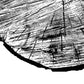 Set de 3 láminas Tocón de Madera. Posters de la naturaleza, Arboles y Hojas en blanco y negro. , .-Artwork-Nacnic-Nacnic Estudio SL