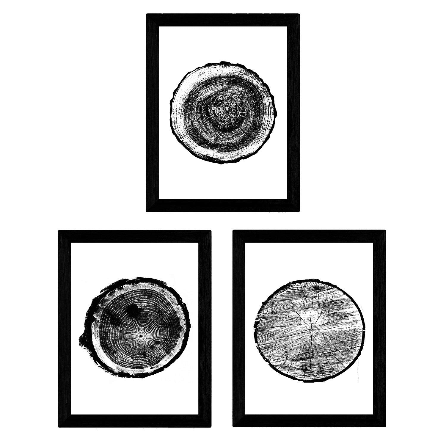 Set de 3 láminas Tocón de Madera. Posters de la naturaleza, Arboles y Hojas en blanco y negro. , .-Artwork-Nacnic-Nacnic Estudio SL