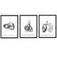 Set de 3 posters de anatomía en blanco y negro con imágenes del cuerpo humano. Pack de láminas sobre biología con "Corazón, Hígado y Pulmones". .-Artwork-Nacnic-Nacnic Estudio SL