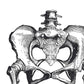 Set de 3 posters de anatomía en blanco y negro con imágenes del cuerpo humano. Pack de láminas sobre biología con "Esqueleto, Mano y Pelvis". .-Artwork-Nacnic-Nacnic Estudio SL