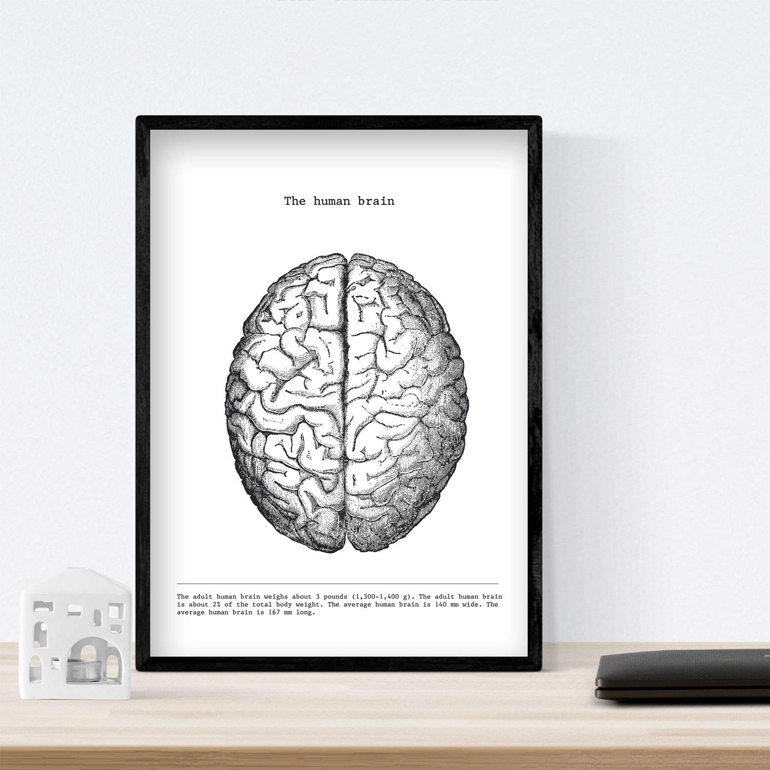 Set de 3 posters de anatomía en blanco y negro con imágenes del cuerpo humano. Pack de láminas sobre biología y medici con "Corazón, Cerebro y Pulmones". .-Artwork-Nacnic-Nacnic Estudio SL