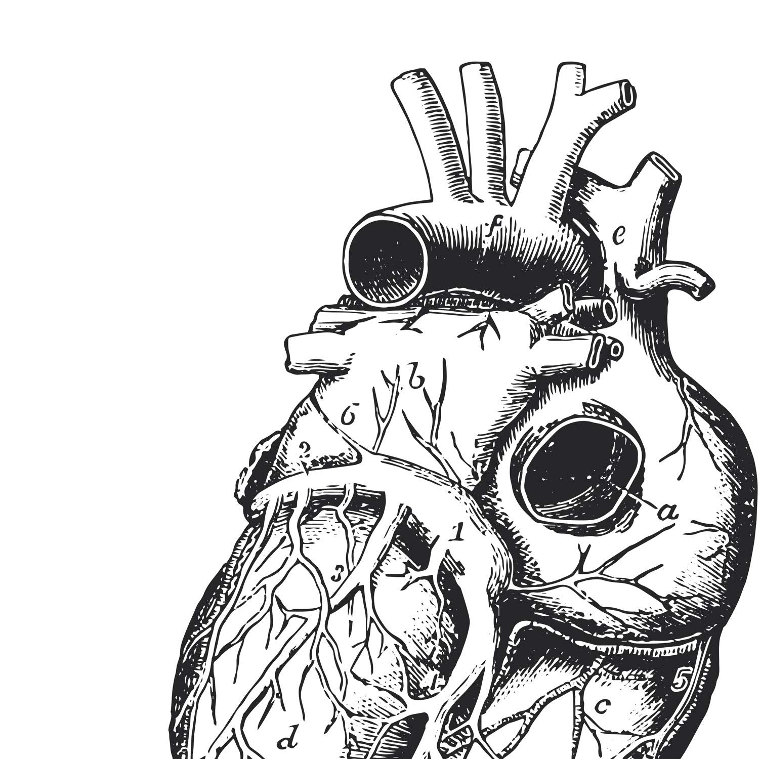 Set de 3 posters de anatomía en blanco y negro con imágenes del cuerpo humano. Pack de láminas sobre biología y medici con "Corazón, Cerebro y Pulmones". .-Artwork-Nacnic-Nacnic Estudio SL