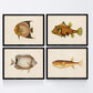 Set de 4 láminas con pez colorido efecto vintage tono amarillo marron. Composicion de 4 peces diferentes, fondo papel antiguo vintage.-Artwork-Nacnic-Nacnic Estudio SL