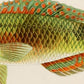 Set de 4 láminas con pez colorido efecto vintage tono naranja azul verde. Composicion de 4 peces diferentes, fondo papel antiguo vintage.-Artwork-Nacnic-Nacnic Estudio SL