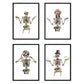 Set de 4 láminas Cuatro Esqueletos con Disfraces. Posters con imágenes de Calaveras.-Artwork-Nacnic-Nacnic Estudio SL