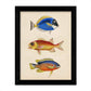 Set de 4 láminas de peces coloridos efecto vintage. Bahamas. Composicion de 12 peces diferentes, fondo papel antiguo vintage.-Artwork-Nacnic-Nacnic Estudio SL