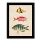 Set de 4 láminas de peces coloridos efecto vintage. Composicion de 11 peces diferentes, fondo papel antiguo vintage-Artwork-Nacnic-Nacnic Estudio SL