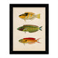 Set de 4 láminas de peces coloridos efecto vintage. Composicion de 11 peces diferentes, fondo papel antiguo vintage-Artwork-Nacnic-Nacnic Estudio SL