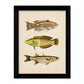 Set de 4 láminas de peces coloridos efecto vintage. Composicion de 11 peces diferentes, fondo papel antiguo vintage.-Artwork-Nacnic-Nacnic Estudio SL