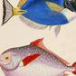 Set de 4 láminas de peces coloridos efecto vintage. Composicion de 8 peces diferentes, fondo papel antiguo vintage-Artwork-Nacnic-Nacnic Estudio SL