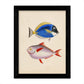 Set de 4 láminas de peces coloridos efecto vintage. Composicion de 8 peces diferentes, fondo papel antiguo vintage-Artwork-Nacnic-Nacnic Estudio SL