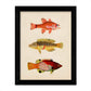 Set de 4 láminas de peces coloridos efecto vintage. Maldivas. Composicion de 10 peces diferentes, fondo papel antiguo vintage.-Artwork-Nacnic-Nacnic Estudio SL