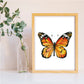 Set de 4 láminas para enmarcar, 4 Mariposas, . Decoración de hogar. alta calidad. Decora el salón, o haz el regalo perfecto.-Artwork-Nacnic-Nacnic Estudio SL