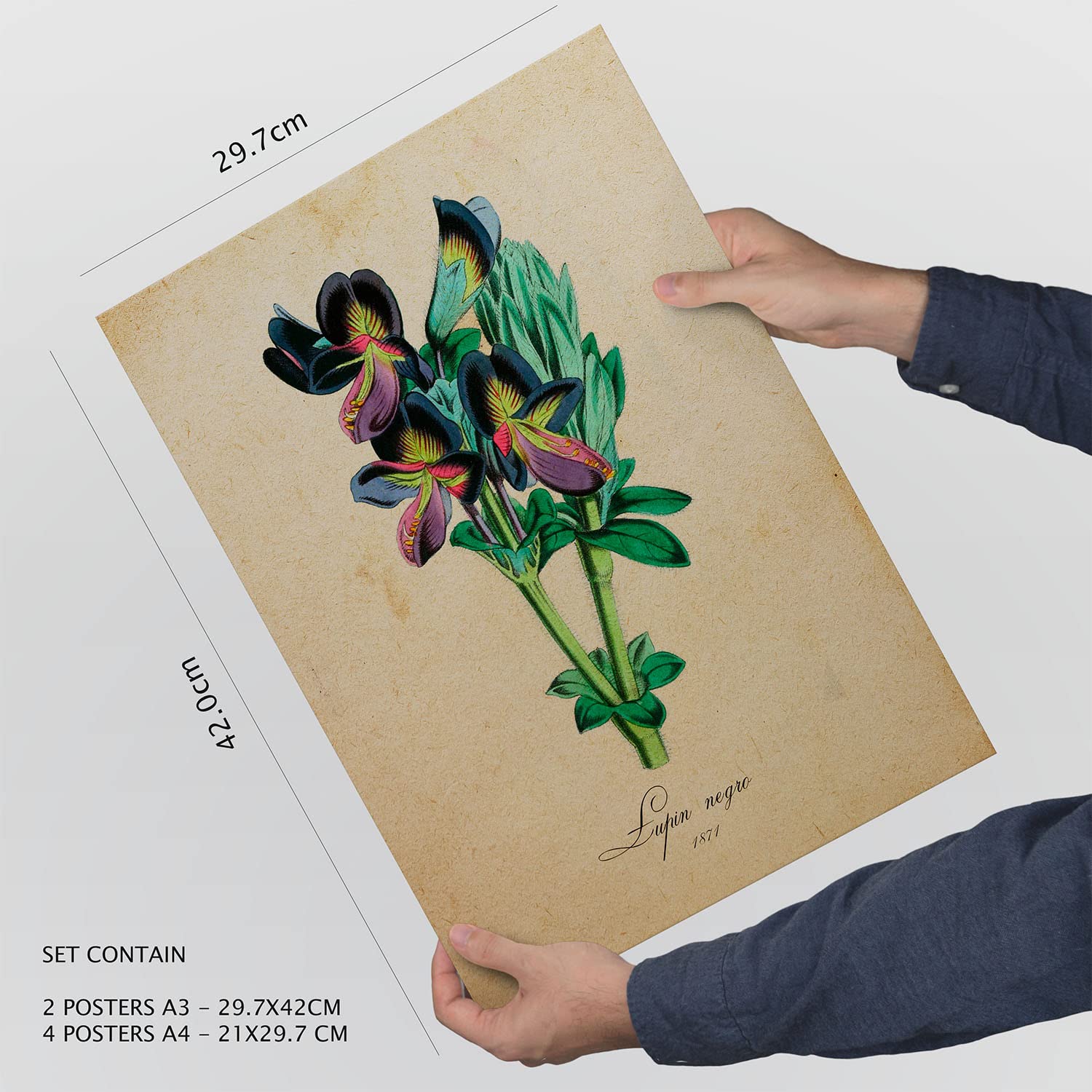 Set de 6 posters de Flores vintage. Colección de láminas con estética collage para la Tamaños A3 y A4. .-Artwork-Nacnic-Nacnic Estudio SL