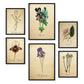 Set de 6 posters de Flores vintage. Colección de láminas con estética collage para la Tamaños A3 y A4. .-Artwork-Nacnic-Nacnic Estudio SL
