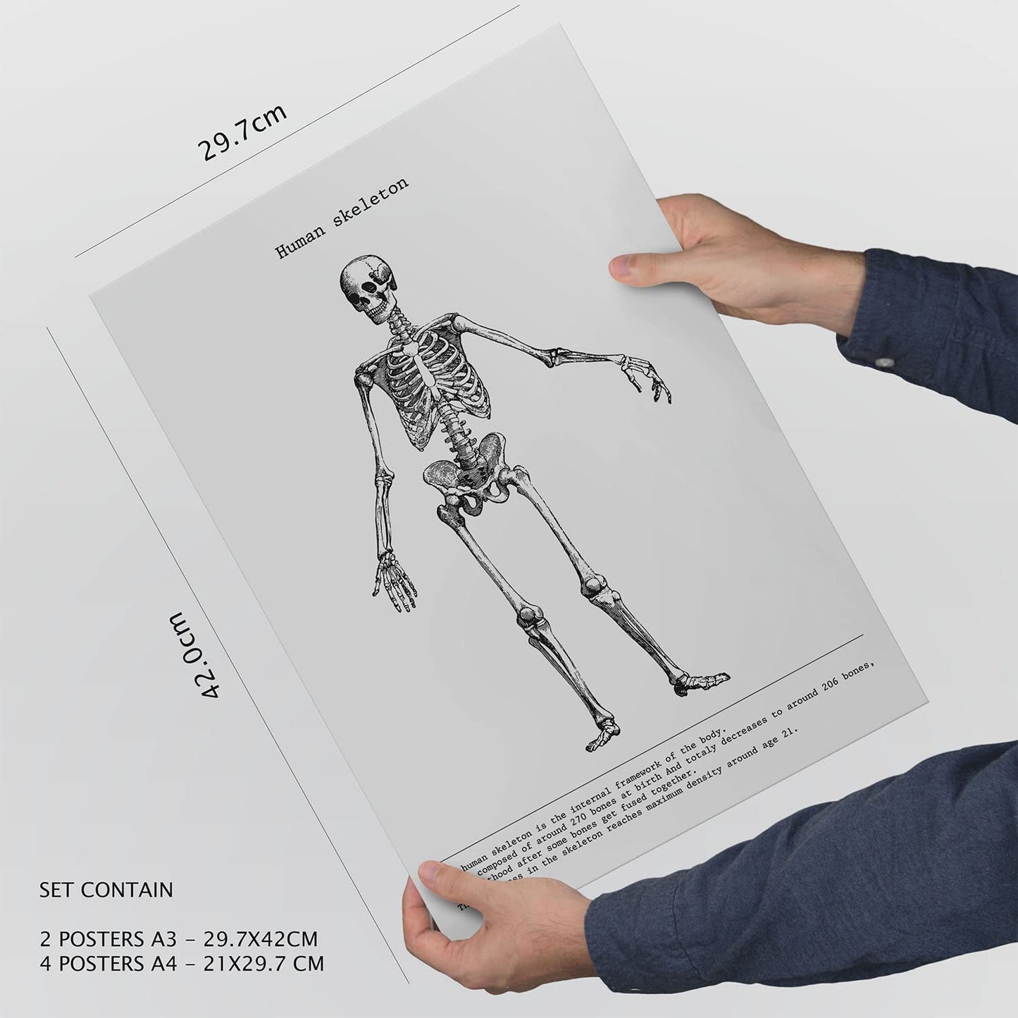 Set de 6 pósters de Órganos y huesos. Colección de láminas con estética collage para la Tamaños A3 y A4. .-Artwork-Nacnic-Nacnic Estudio SL