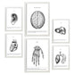 Set de 6 posters Órganos. Colección de láminas con estética collage para la Tamaños A3 y A4. .-Artwork-Nacnic-Marco Blanco-Nacnic Estudio SL