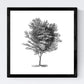 Set de cuatro láminas de arboles. Arboleda en cm, fondo blanco .-Artwork-Nacnic-Nacnic Estudio SL