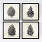 Set de cuatro láminas de arboles. Arboles altos en cm, fondo papel antiguo vintage .-Artwork-Nacnic-Nacnic Estudio SL