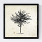 Set de cuatro láminas de arboles. Arboles del mundo en cm, fondo papel antiguo vintage .-Artwork-Nacnic-Nacnic Estudio SL
