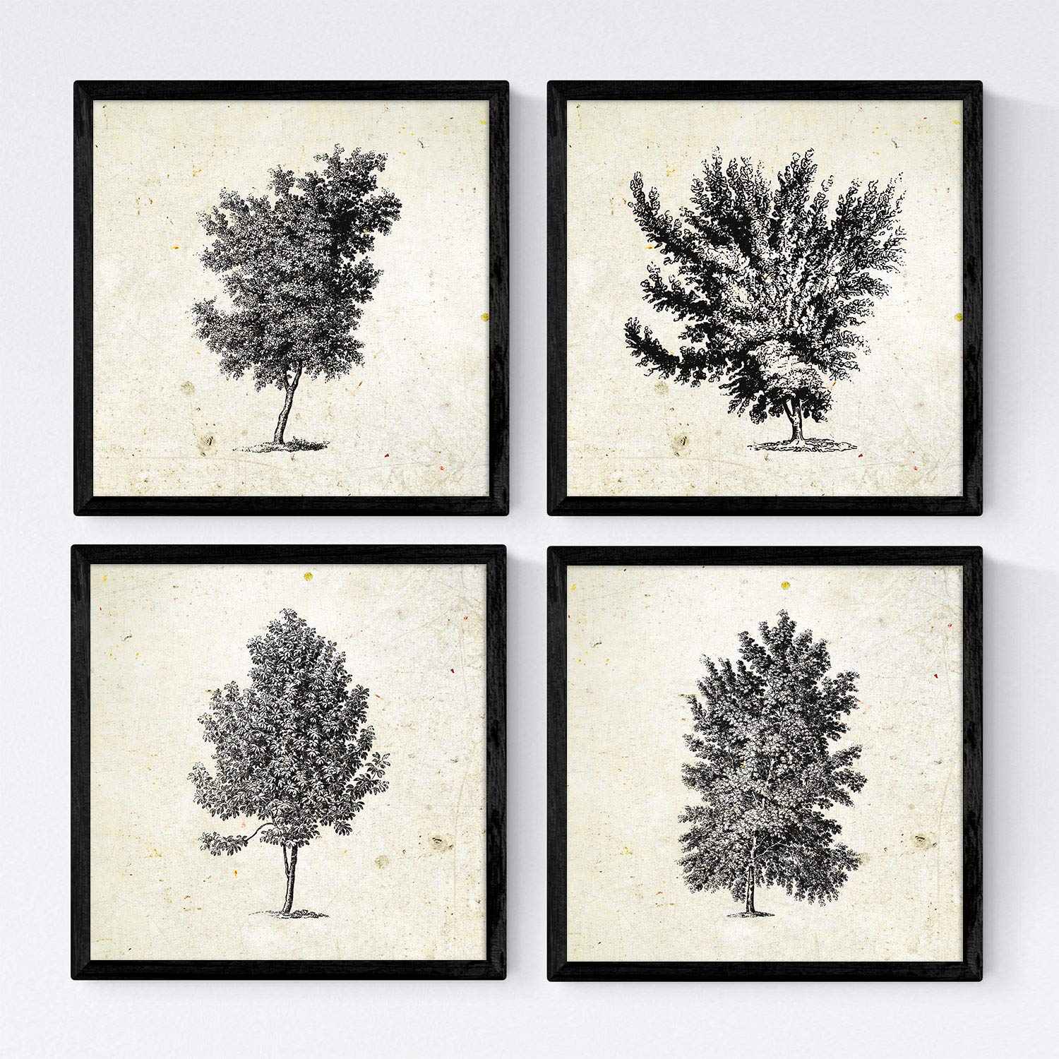 Set de cuatro láminas de arboles. Arboles diferentes direcciones en cm, fondo papel antiguo vintage.-Artwork-Nacnic-Nacnic Estudio SL