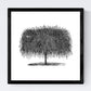 Set de cuatro láminas de arboles. Arboles diferentes en cm, fondo blanco .-Artwork-Nacnic-Nacnic Estudio SL
