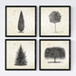 Set de cuatro láminas de arboles. Arboles diferentes en cm, fondo papel antiguo vintage.-Artwork-Nacnic-Nacnic Estudio SL