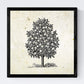 Set de cuatro láminas de arboles. Arboles frutales en cm, fondo papel antiguo vintage .-Artwork-Nacnic-Nacnic Estudio SL