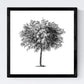 Set de cuatro láminas de arboles. Arboles hojas diferentes en cm, fondo blanco.-Artwork-Nacnic-Nacnic Estudio SL