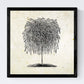 Set de cuatro láminas de arboles. Arboles hojas diferentes en cm, fondo papel antiguo vintage .-Artwork-Nacnic-Nacnic Estudio SL