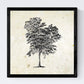 Set de cuatro láminas de arboles. Arboles hojas diferentes en cm, fondo papel antiguo vintage .-Artwork-Nacnic-Nacnic Estudio SL
