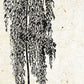 Set de cuatro láminas de arboles. Arboles hojas diferentes en cm, fondo papel antiguo vintage .-Artwork-Nacnic-Nacnic Estudio SL