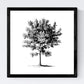 Set de cuatro láminas de arboles. Arboles medianos en cm, fondo blanco .-Artwork-Nacnic-Nacnic Estudio SL
